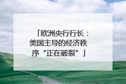 欧洲央行行长：美国主导的经济秩序“正在破裂”