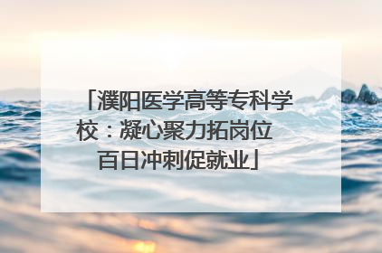 濮阳医学高等专科学校:凝心聚力拓岗位 百日冲刺促就业