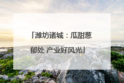 潍坊诸城：瓜甜葱郁处 产业好风光