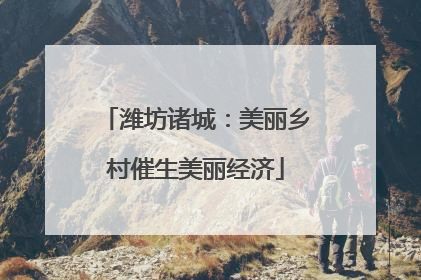 潍坊诸城：美丽乡村催生美丽经济