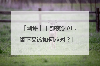 潮评丨干部夜学AI，阁下又该如何应对？