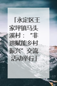 永定区王家坪镇马头溪村：“非遗赋能乡村振兴”交流活动举行