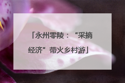 永州零陵：“采摘经济”带火乡村游