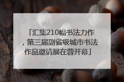 汇集210幅书法力作，第三届副省级城市书法作品邀请展在蓉开幕