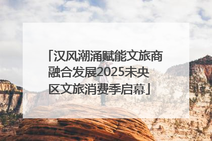 汉风潮涌赋能文旅商融合发展2025未央区文旅消费季启幕