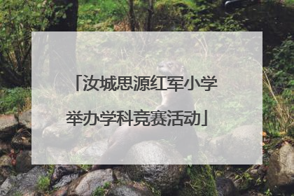 汝城思源红军小学举办学科竞赛活动
