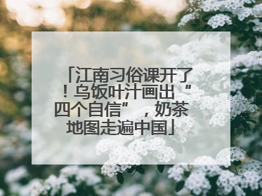 江南习俗课开了！乌饭叶汁画出“四个自信”，奶茶地图走遍中国