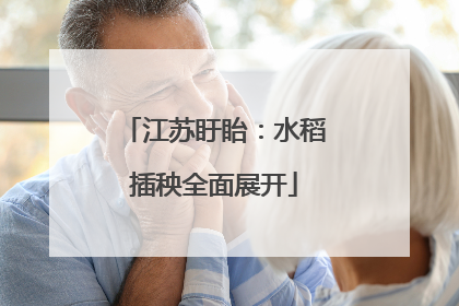 江苏盱眙：水稻插秧全面展开