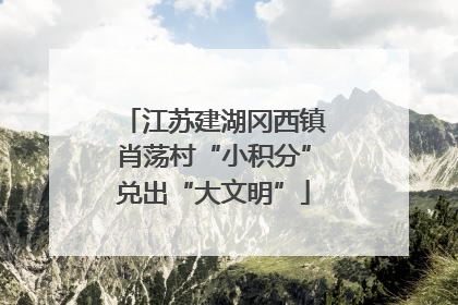 江苏建湖冈西镇肖荡村“小积分”兑出“大文明”