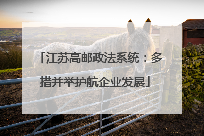 江苏高邮政法系统：多措并举护航企业发展