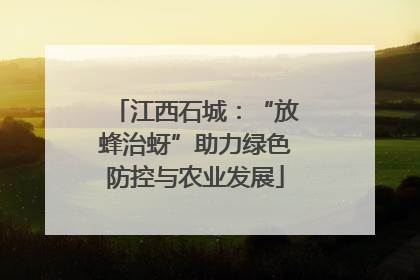 江西石城：“放蜂治蚜”助力绿色防控与农业发展