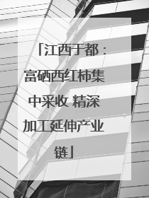 江西于都：富硒西红柿集中采收 精深加工延伸产业链