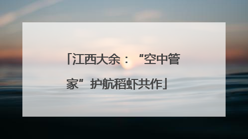 江西大余：“空中管家”护航稻虾共作