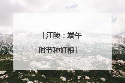 江陵：端午时节种好粮