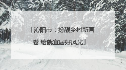 沁阳市：扮靓乡村新画卷 绘就宜居好风光