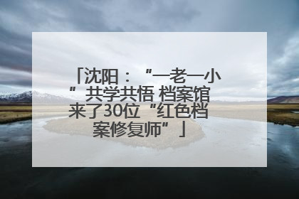 沈阳：“一老一小”共学共悟 档案馆来了30位“红色档案修复师”