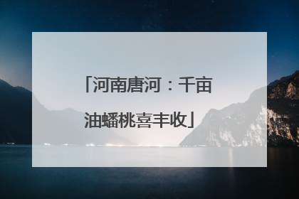 河南唐河：千亩油蟠桃喜丰收