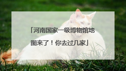 河南国家一级博物馆地图来了！你去过几家