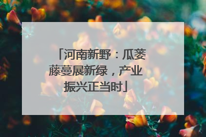 河南新野：瓜蒌藤蔓展新绿，产业振兴正当时