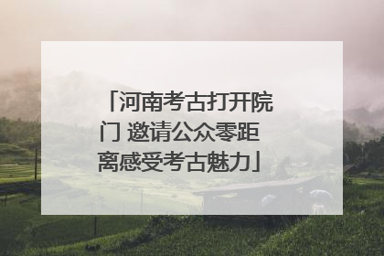河南考古打开院门 邀请公众零距离感受考古魅力
