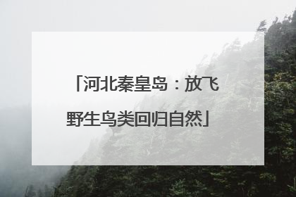 河北秦皇岛：放飞野生鸟类回归自然