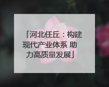 河北任丘：构建现代产业体系 助力高质量发展