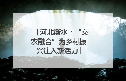 河北衡水：“交农融合”为乡村振兴注入新活力