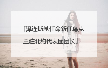 泽连斯基任命新任乌克兰驻北约代表团团长