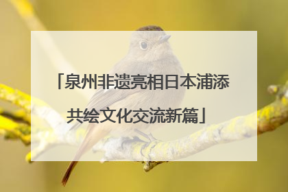 泉州非遗亮相日本浦添 共绘文化交流新篇