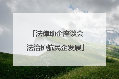 法律助企座谈会 法治护航民企发展