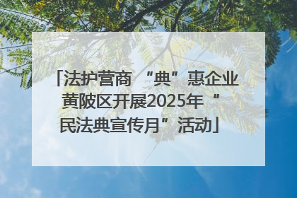 法护营商 “典”惠企业 黄陂区开展2025年“民法典宣传月”活动
