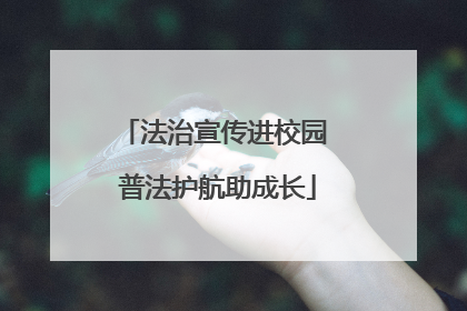 法治宣传进校园 普法护航助成长