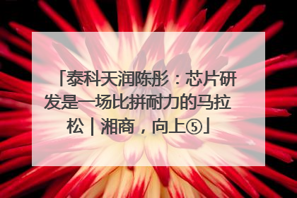 泰科天润陈彤：芯片研发是一场比拼耐力的马拉松｜湘商，向上⑤