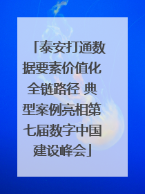 泰安打通数据要素价值化全链路径 典型案例亮相第七届数字中国建设峰会