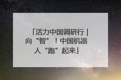活力中国调研行｜向“智”！中国机器人“跑”起来