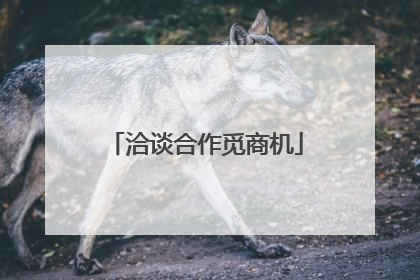 洽谈合作觅商机