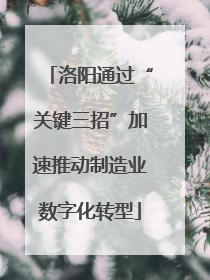洛阳通过“关键三招”加速推动制造业数字化转型