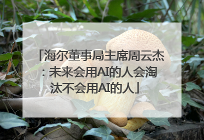 海尔董事局主席周云杰：未来会用AI的人会淘汰不会用AI的人