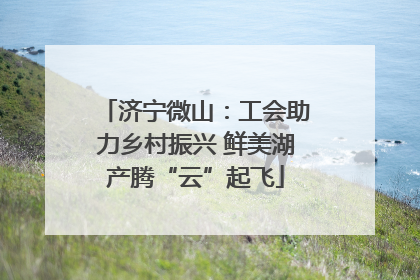 济宁微山：工会助力乡村振兴 鲜美湖产腾“云”起飞