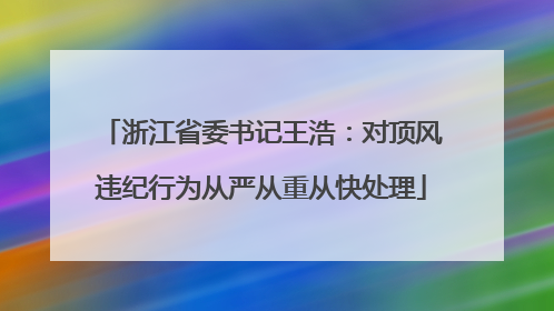 浙江省委书记王浩：对顶风违纪行为从严从重从快处理