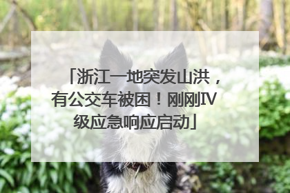 浙江一地突发山洪，有公交车被困！刚刚Ⅳ级应急响应启动