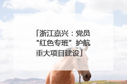 浙江嘉兴：党员“红色专班”护航重大项目建设