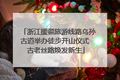浙江援疆旅游线路乌孙古道举办徒步开山仪式 古老丝路焕发新生