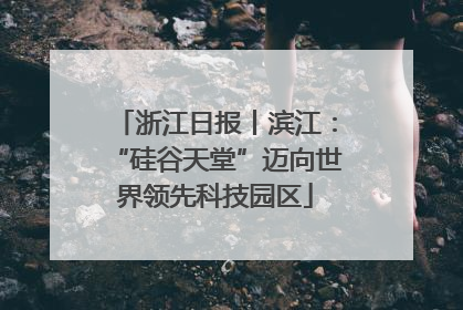 浙江日报丨滨江：“硅谷天堂”迈向世界领先科技园区