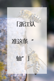 浙江认准这条“轴”