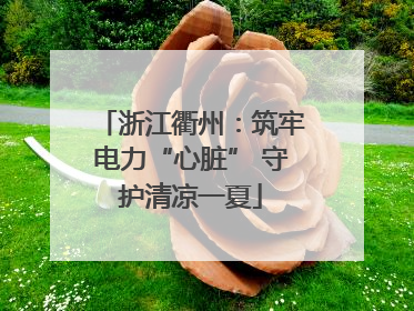 浙江衢州：筑牢电力“心脏” 守护清凉一夏
