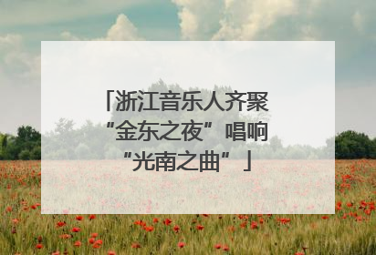 浙江音乐人齐聚“金东之夜”唱响“光南之曲”