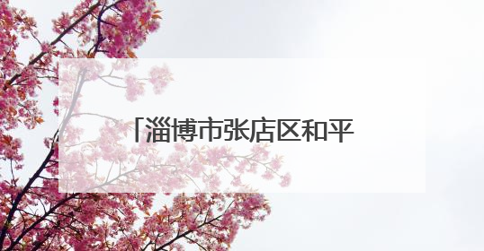 淄博市张店区和平街道祥和社区开展“共建共享 连心惠民”便民志愿活动
