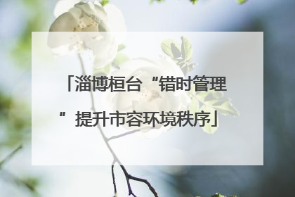 淄博桓台“错时管理”提升市容环境秩序
