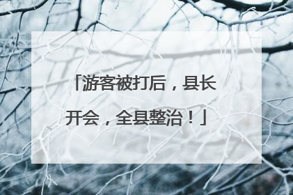 游客被打后，县长开会，全县整治！